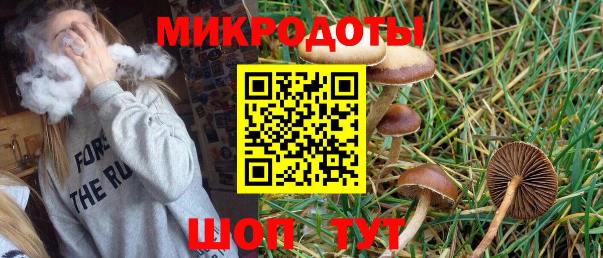 Псилоцибиновые грибы мухоморы Грозный