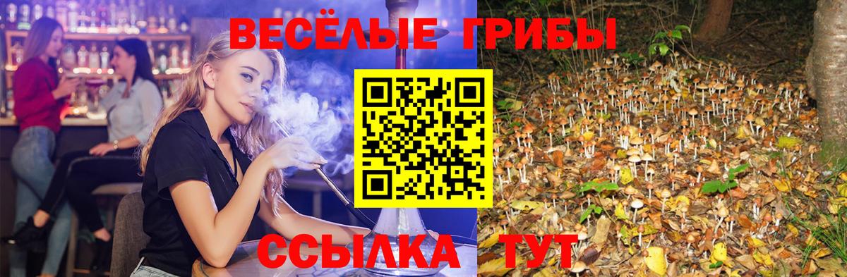 Псилоцибиновые грибы Psilocybine cubensis  Вход с VPN  Грозный  Псилоцибиновые грибы Psilocybe 